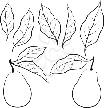 Set of Fruits and Leaves of Pears, Black Pictograms Isolated on White. Vector