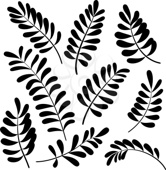 Different leaves, set of black and white pictograms - elements for design. Vector