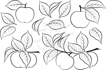 Set of Plant Brunches with Apples, Fruits and Leaves, Black Pictograms Isolated on White. Vector