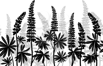 Seamless Horizontal Background of Plant Pictograms, Lupine Leaves and Flowers, Black and Grey on White. Vector