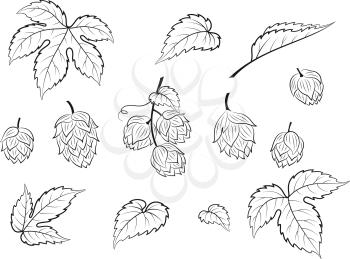 Set of Plant Pictograms, Hop Seeds and Leaves, Black Contour on White Background. Vector