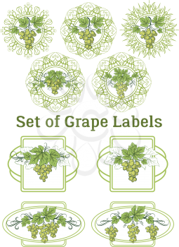 Set of Labels, Stickers with Green Grape Bunches, Berries and Leaves, on Ellipse and Square Frames. Vector