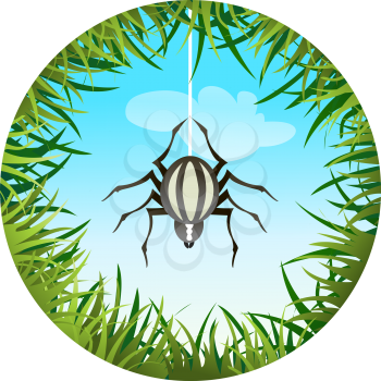 Insects and summer nature icon. spider hanging on the web