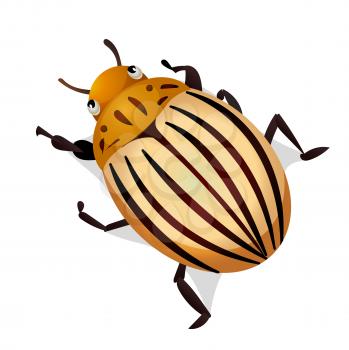 Vector illustration of colorado potato beetle isolated on white background