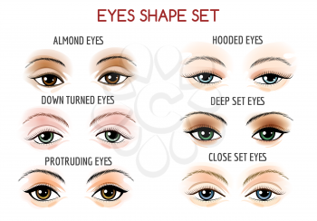 Set of Eyes shape. Different shapes - close set, wide set, protruding on white background. Vector illustration.