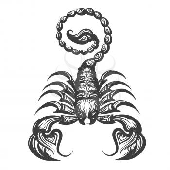 Scorpion drawn in engraving style. Vector illustration.