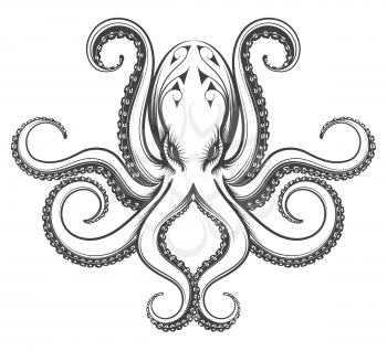 Octopus drawn in engraving vintage style. Vector illustration isolated on white background.