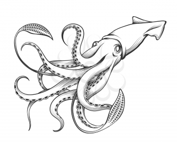 Giant Squid drawn in Engraving tattoo style. Vector Illustration.