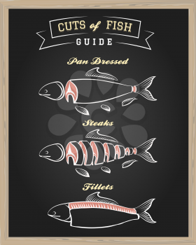 Chalkboard with Cuts of Fish Guide. Vector illustration.