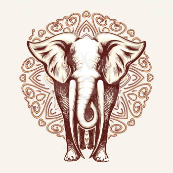 Elephant with huge tusks on Mandala pattern background. Vector illustration.