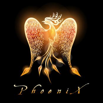 Fire burning Phoenix Bird on black background. Vector Illustration.