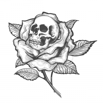 Tattoo with skull inside of Rose flower. Vector illustration.