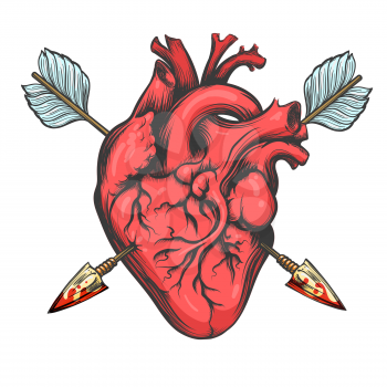 Human heart pierced by two arrows drawn in tattoo style isolated on white background. Vector Illustration.