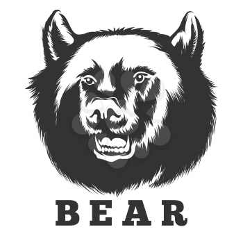 Hand drawn roaring bear. Wild angry bear head vector illustration.