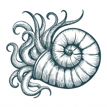 Hand drawn tentacles stick out of the sea shell in tattoo style. Vector illustration.