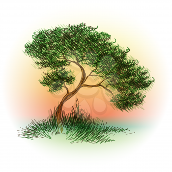 Tree drawn in color pen sketch style. Vector illustration.