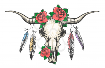 Bull skull with rose flowers on her head and with feathers hanging from the horns. Vector illustration.