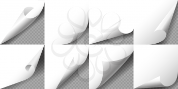 Set of curled White Page Corners on transparent background. Vector illustration.