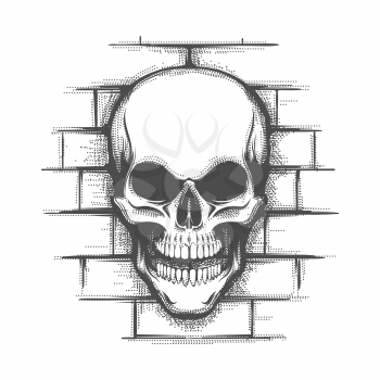 Hand drawn Smiling Skull on a brick wall background. Vector illustration.