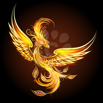 Fire burning Phoenix Bird with black background. Vector illustration.