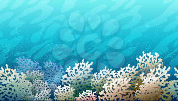 Horizontal colorful seamless background with coral reef.
