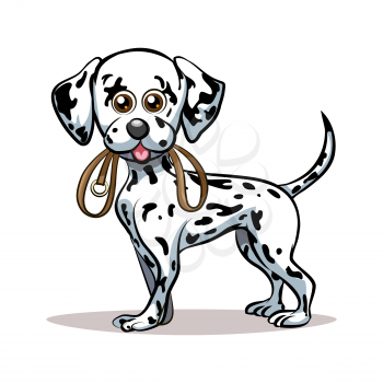 Dalmatian puppy with dog lead in his mouth. Good for Pet Club emblem. Isolated on white background.