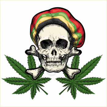 Skull in Rastaman cap and Marijuana leaves. Isolated on white background.