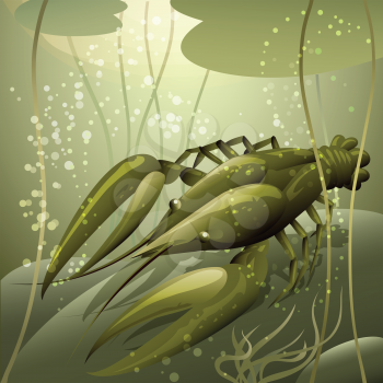 Illustration with crayfish against water lilies in the fresh water drawn in cartoon style