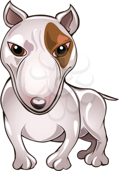 Funny illustration with bull terrier drawn in cartoon style