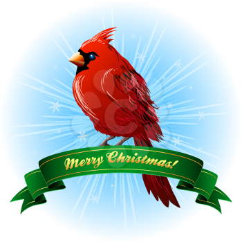 Christmas illustartion of northern cardinal with festive ribbon