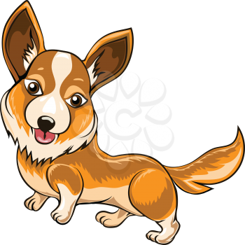 Funny illustration with Welsh corgi dog drawn in cartoon style