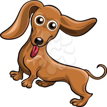 Funny illustration with dachshund drawn in cartoon style