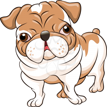 Funny illustration with bulldog puppy drawn in cartoon style