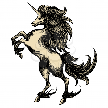 Illustration of unicorn drawn in engraving style isolated on white