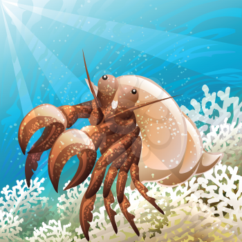Illustration with hermit crab in coral reef against seabed background drawn in cartoon style