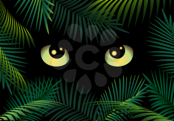 Wild Cat eyes in dark night forest. Vector Illustration