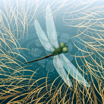 Dragonfly flying over pond. Vector illustration.