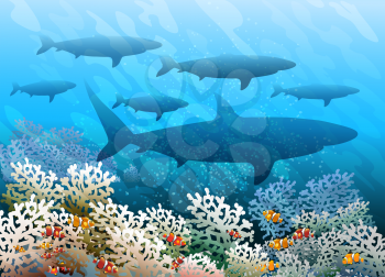 Shoal of sharks  swimming over coral seabed. Vector illustration.