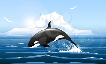 Arctic Landscape with Orca jumps out of the water. Vector illustration.