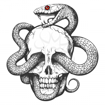 Skull and Snake. Tattoo art Hand drawn vintage vector illustration