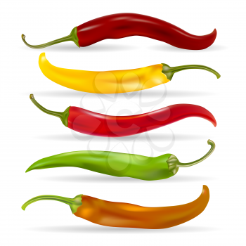 Realistic Detailed Various Hot Chili Pepper Set. Vector illustration.