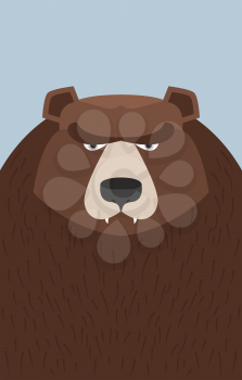big brown bear. Vector illustration