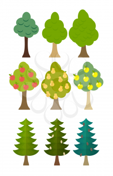 set Tree icon fruit trees, conifers, forest trees. Vector illustration