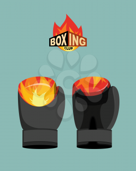 Boxing gloves  fire. Vector illustration