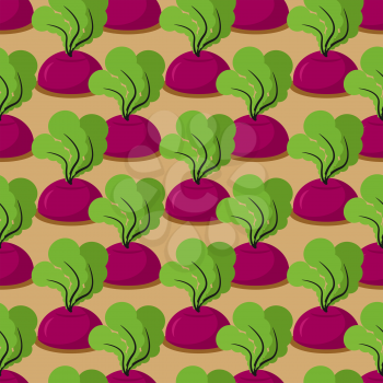 Beet seamless pattern. Plantation beets with haulm vector background. Garden with vegetables. Retro ornament baby fabrics