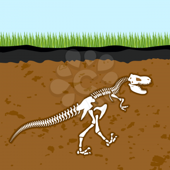 Skeleton of  Tyrannosaurus Rex. Dinosaur bones in Earth. Fossil Ancient fearsome animal. Slice through  soil. archaeological excavations. Prehistoric monster