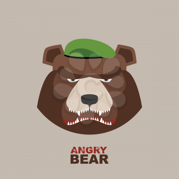 Bear soldier in a green beret. Angry animal