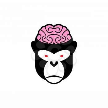 Monkey brains. Vector illustration logo head animal. Pink brain and black monkey. Open cranial box.

