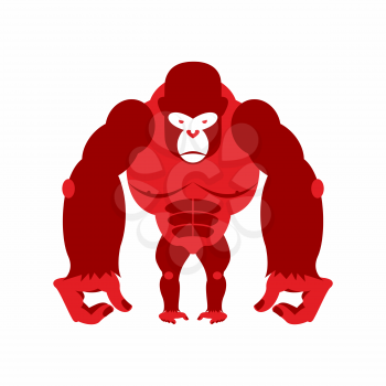 Gorilla big and scary. Strong red Angry monkey. Vector illustration animal on a white background.
