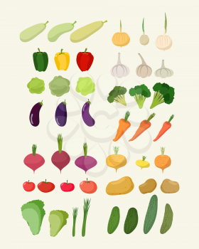 Set of fresh vegetables. Vector illustration Isolated carrot and garlic
